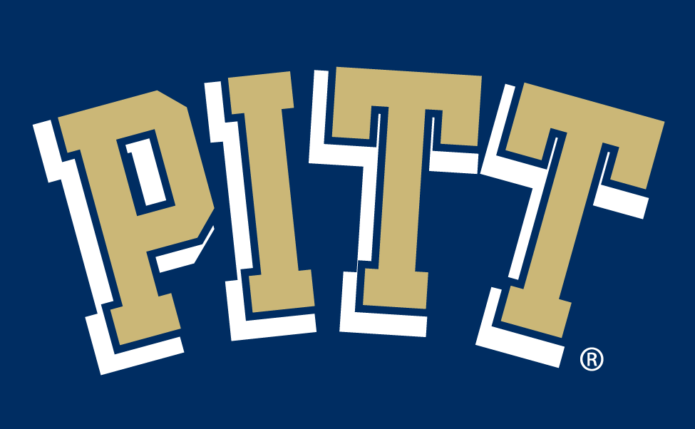 Pittsburgh Panthers 1997-2015 Wordmark Logo iron on transfers for clothing
